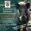 Anschussseminar